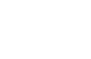 Falcon Sales Ltd