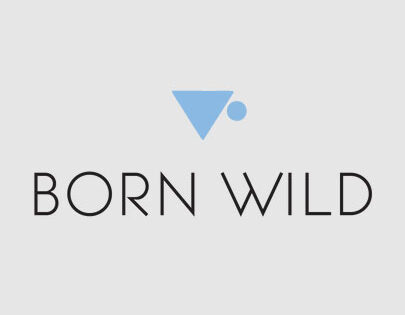 Born Wild Tea